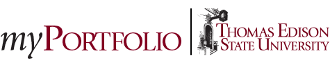 myportfolio-tesu-logo.png